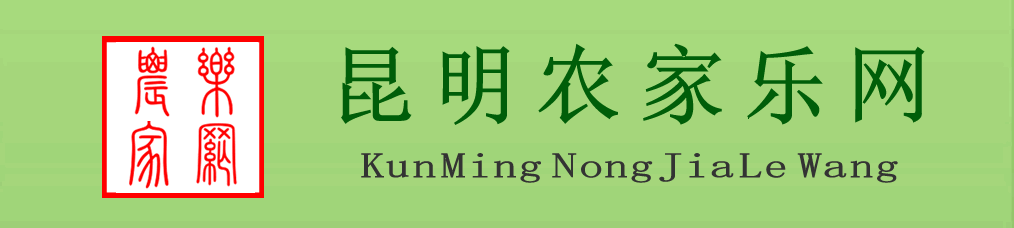 ũ